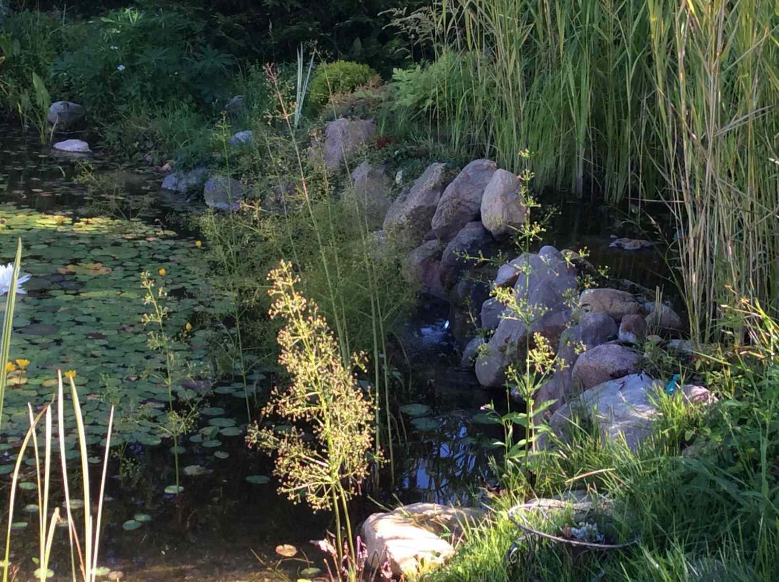 Плавательный водоём в п. Кекешево (Тверская область)