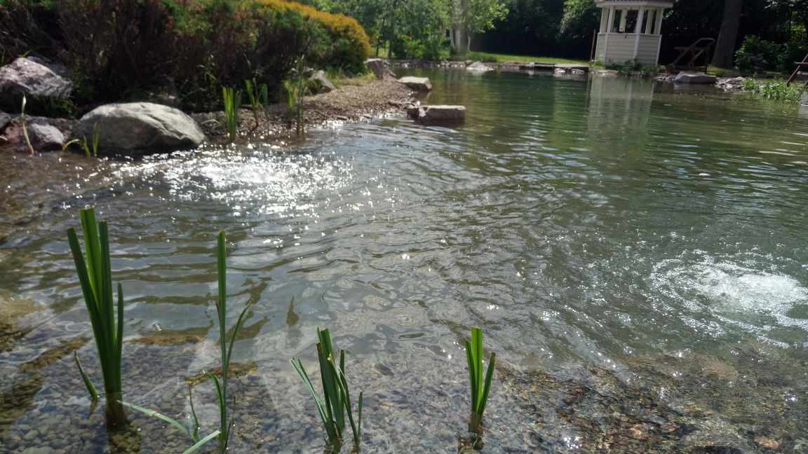 Декоративный водоём с рыбой в Агалатово (ЛО)