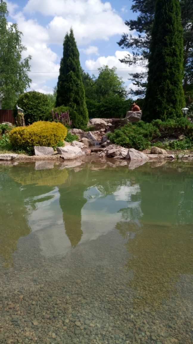 Декоративный водоём с рыбой в Агалатово (ЛО)