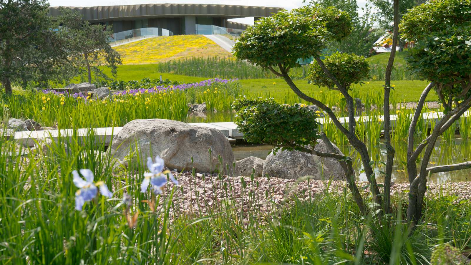 Природный сад. Жуковка XXI век. 2017-2018 гг.