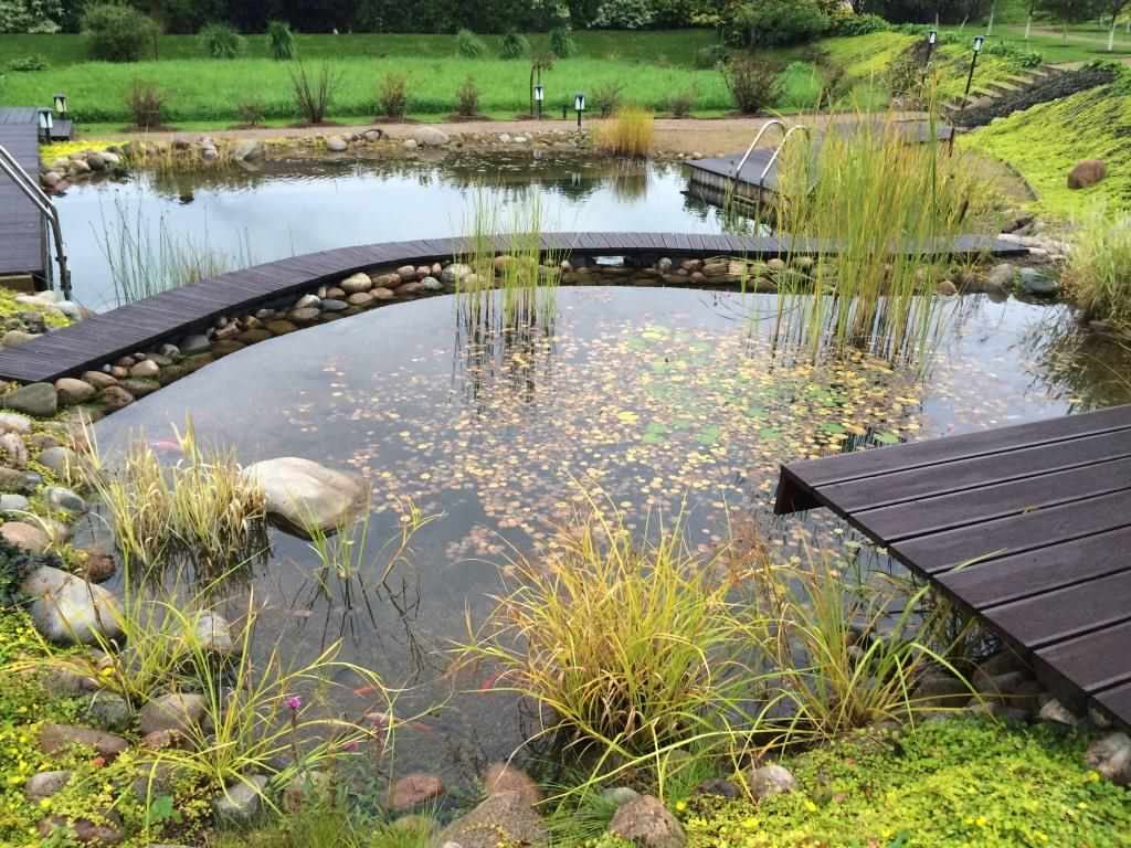 Плавательный водоём в п. Старорусское (ЛО)