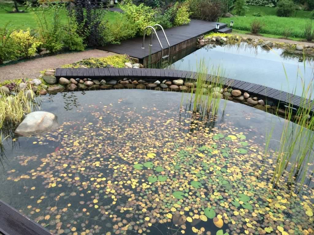 Плавательный водоём в п. Старорусское (ЛО)