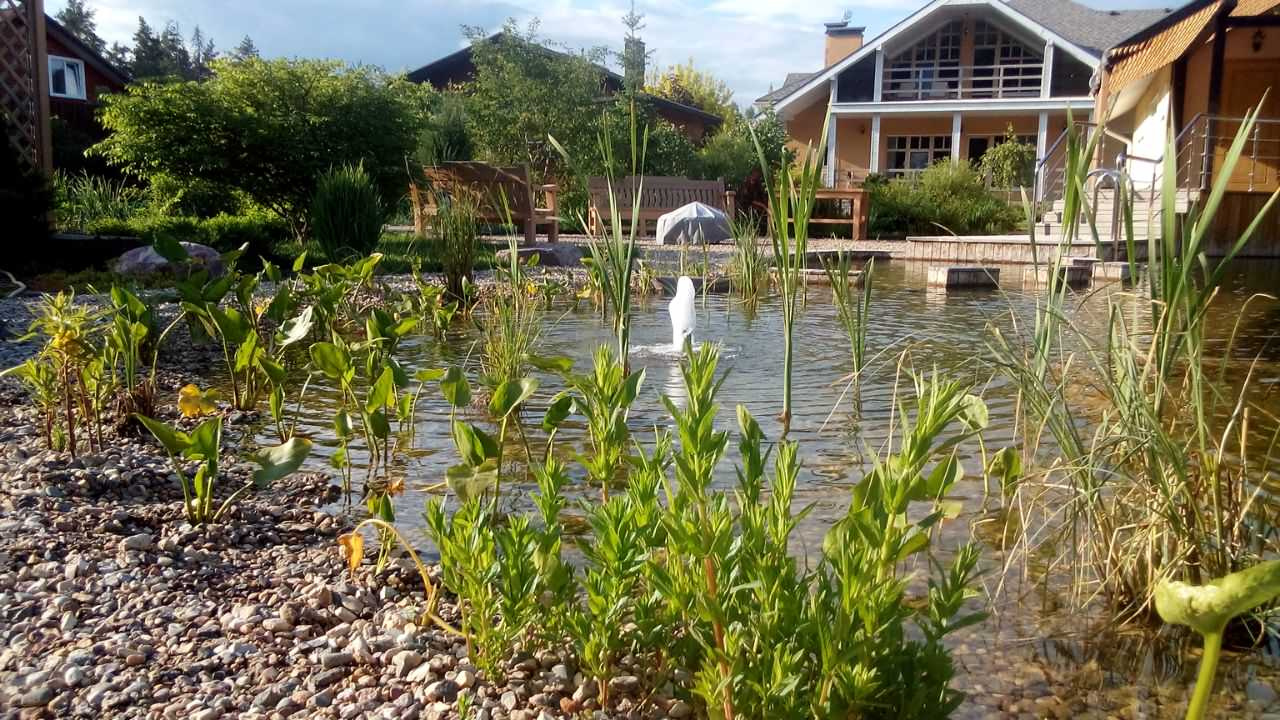 Плавательный водоём в п. Черноголовка (МО)