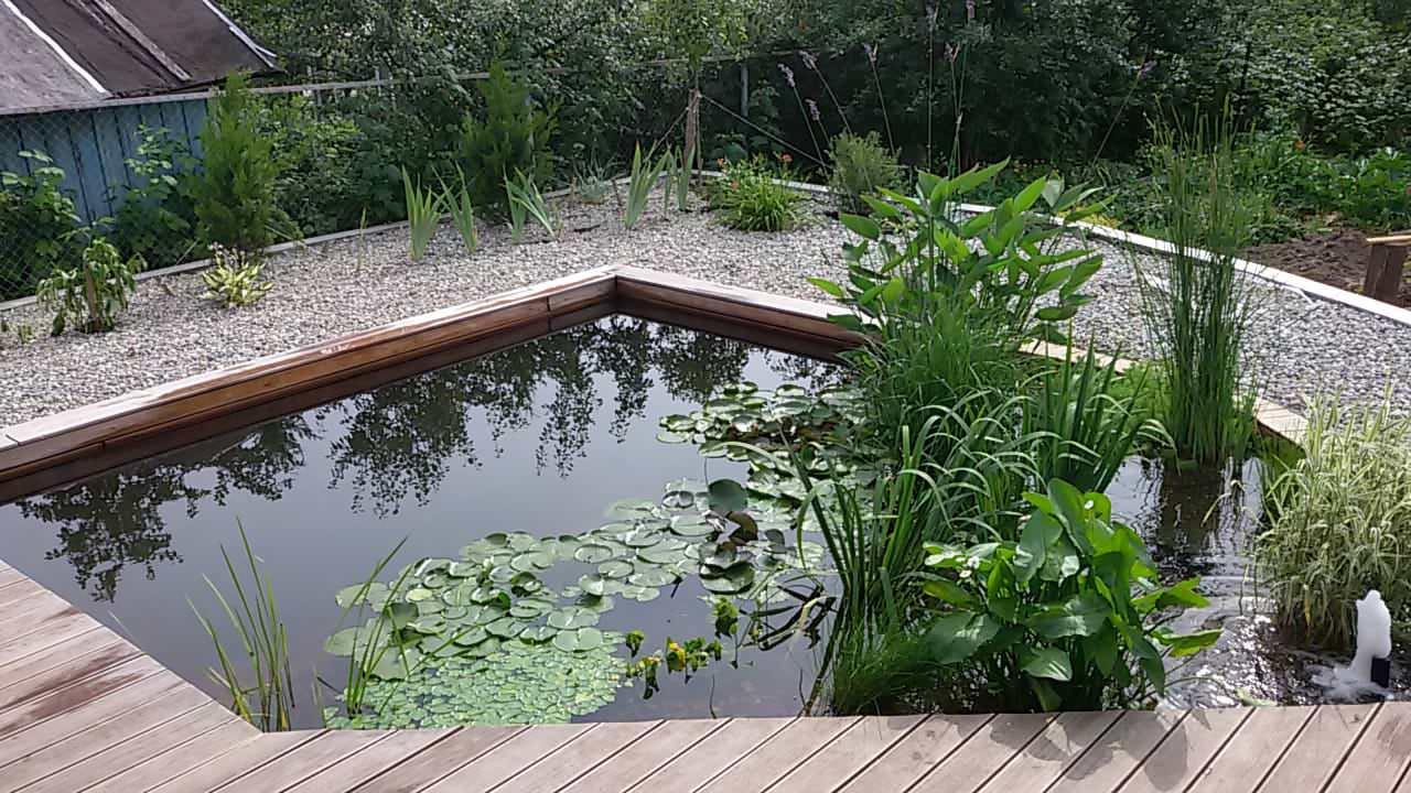 Плавательный водоём в Йошкар-Оле