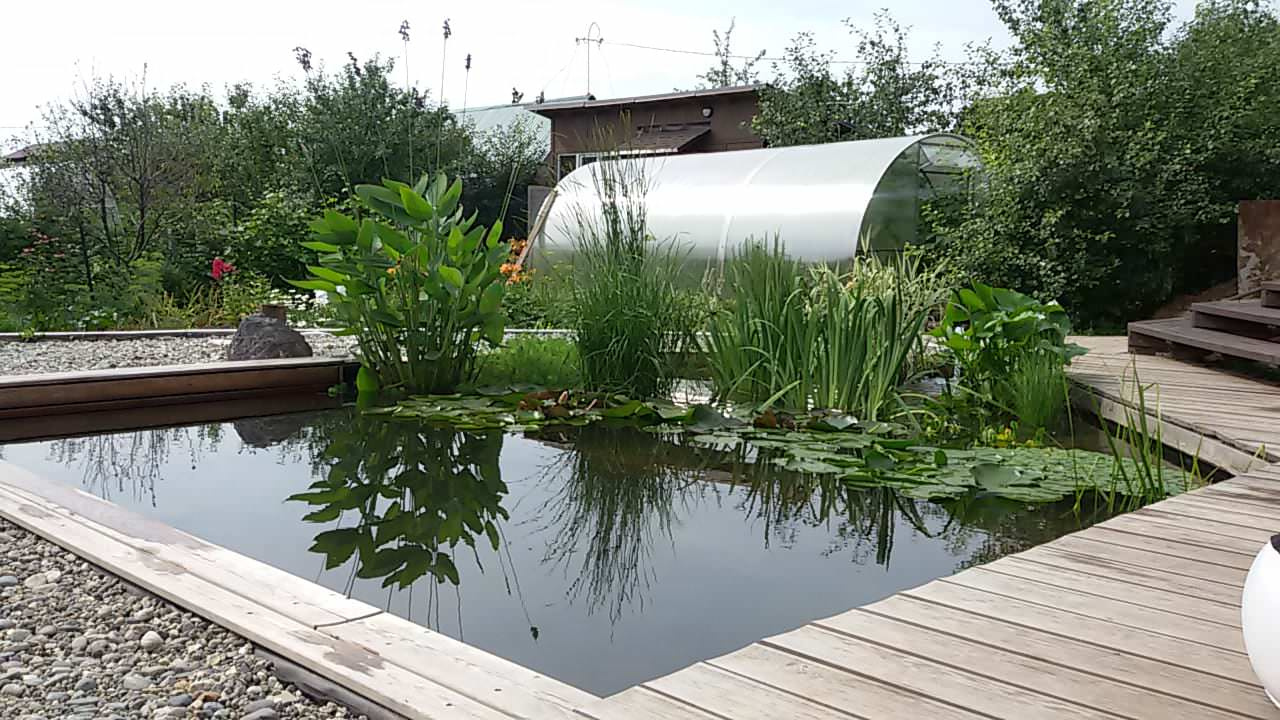 Плавательный водоём в Йошкар-Оле