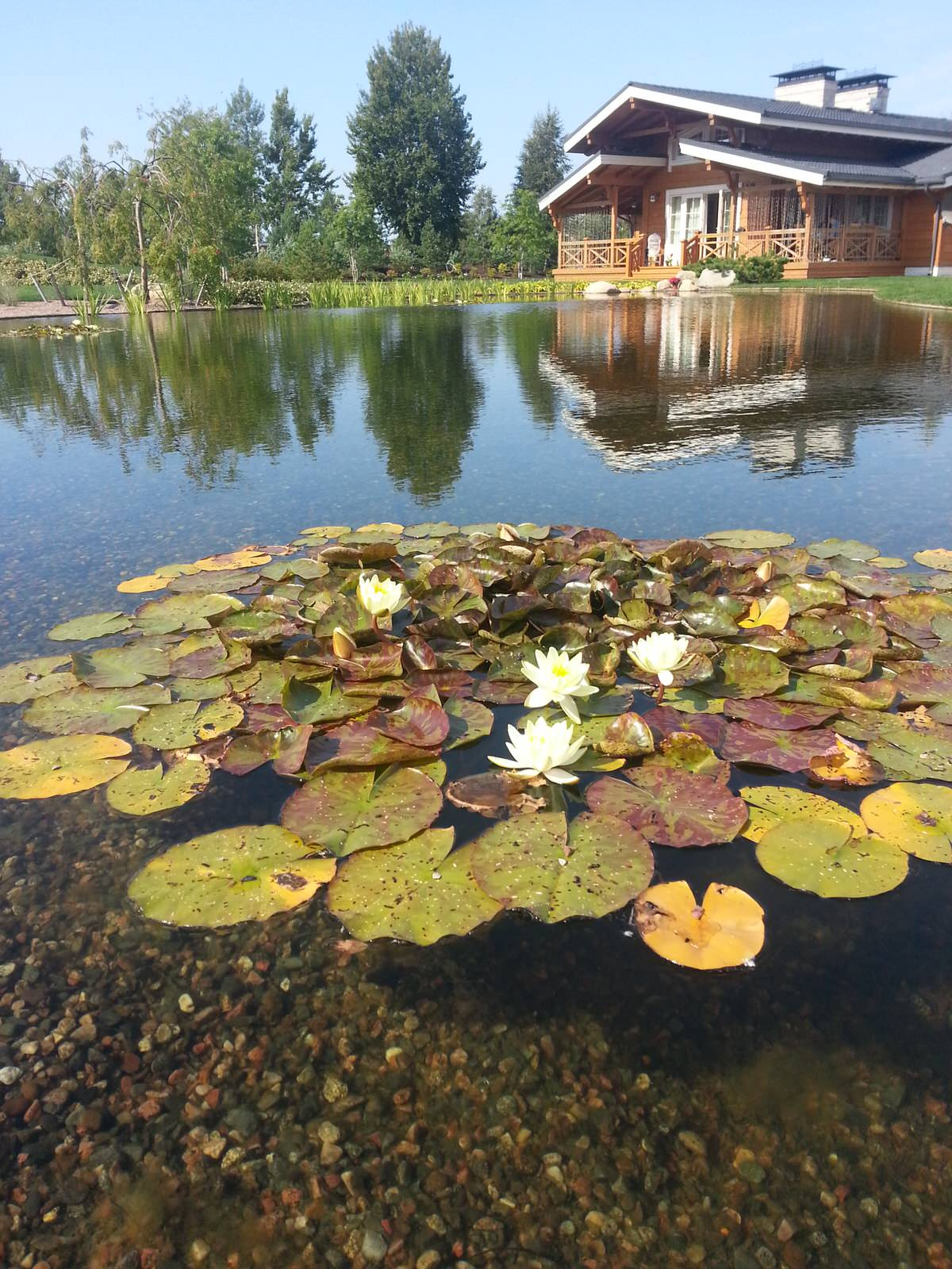 Декоративный водоём с биоплато