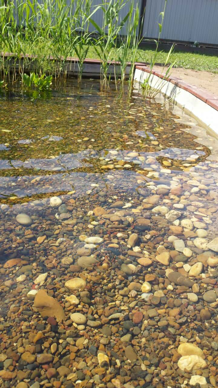 Плавательный водоём в п. Зуевка (Кировская обл.)