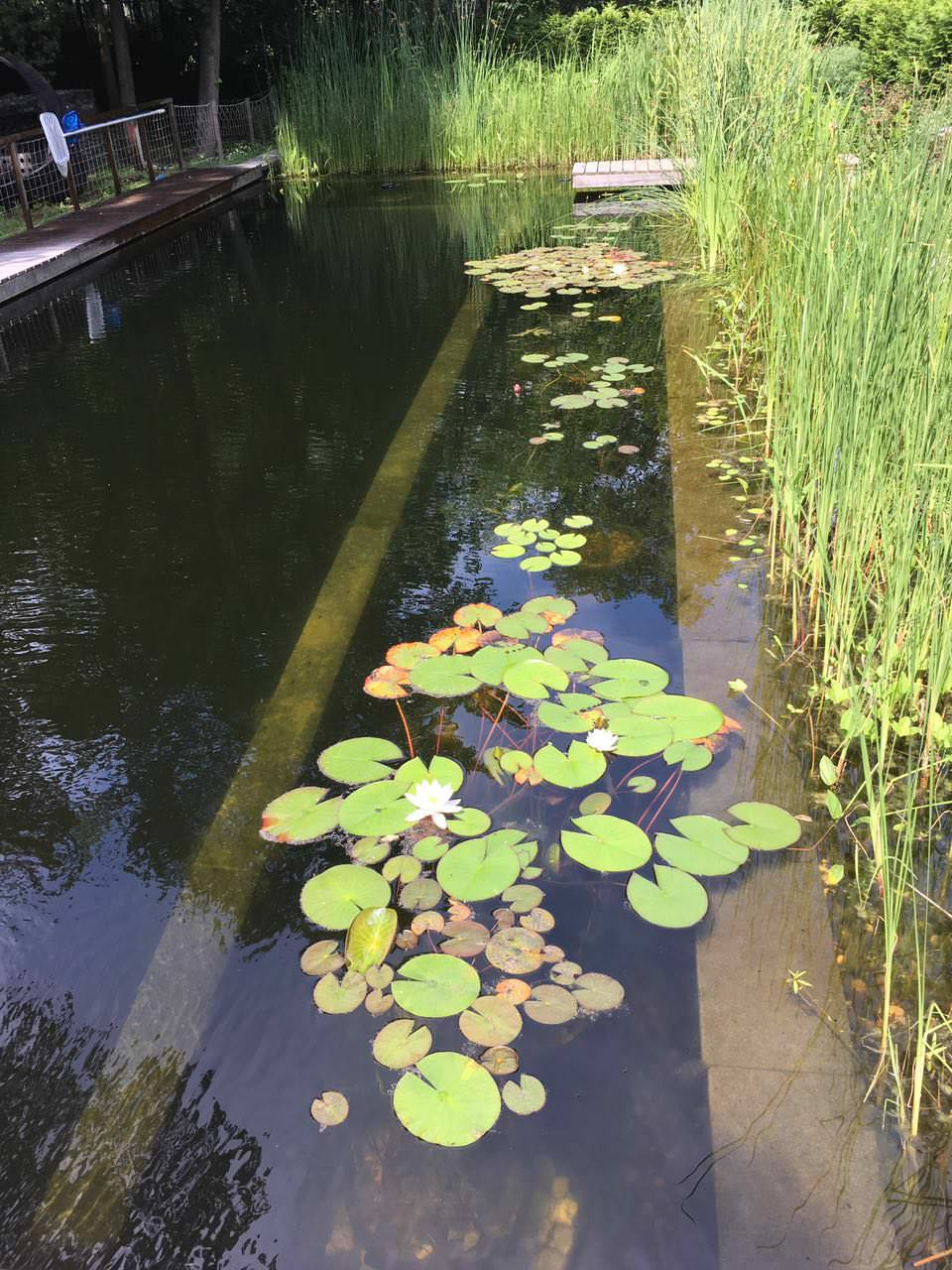Плавательный водоём в п. Молодёново