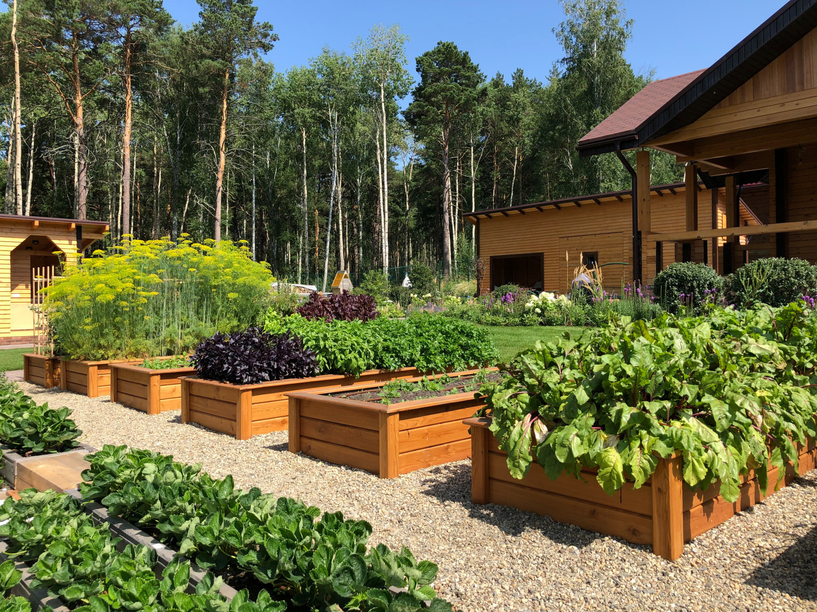 Усадьба на краю леса