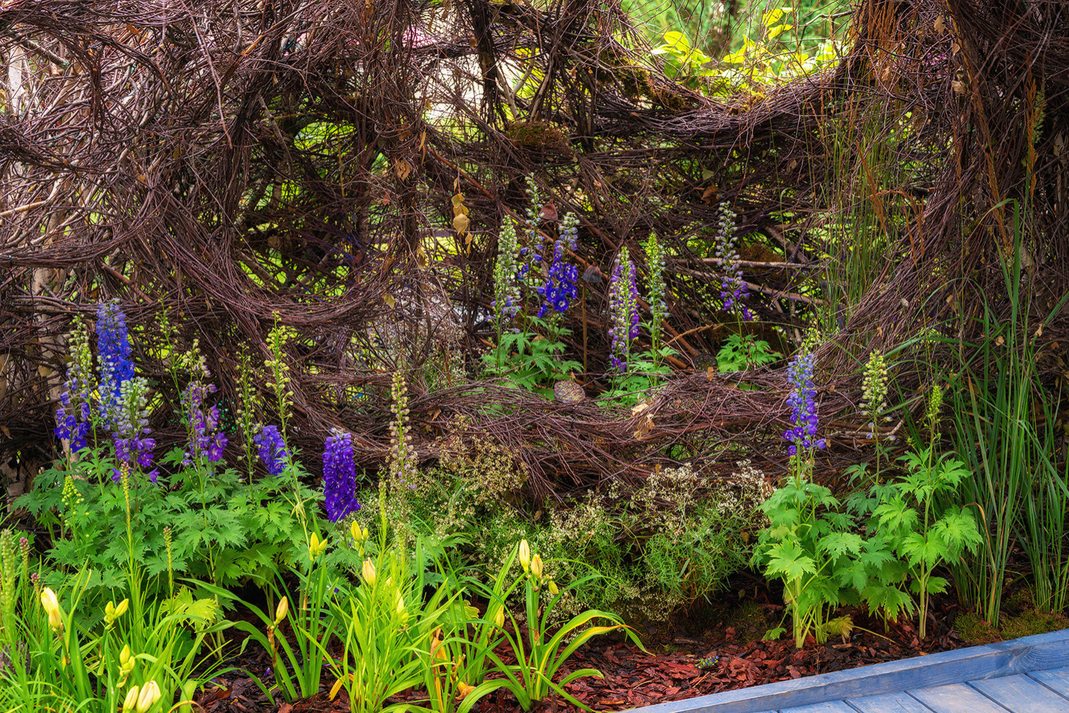 Фотосъемка Сада по сказке СиняяПтица на MFS 2019 Авторы М,Береснева М. ПРИНТЦ