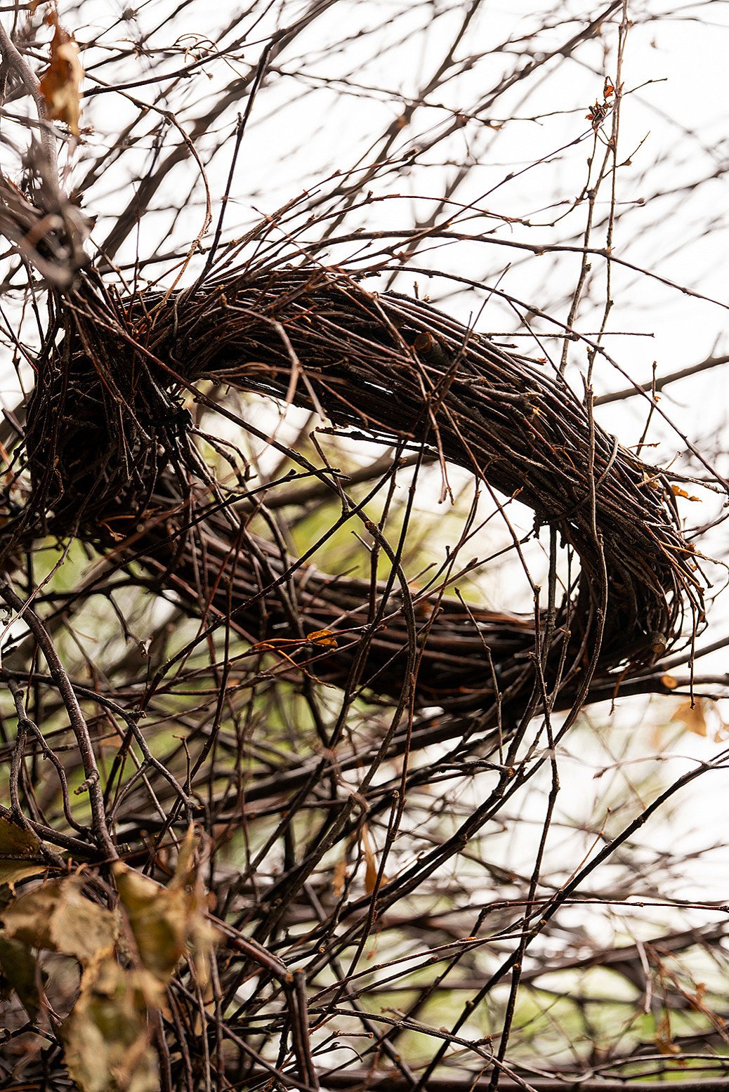 Фотосъемка Сада по сказке СиняяПтица на MFS 2019 Авторы М,Береснева М. ПРИНТЦ