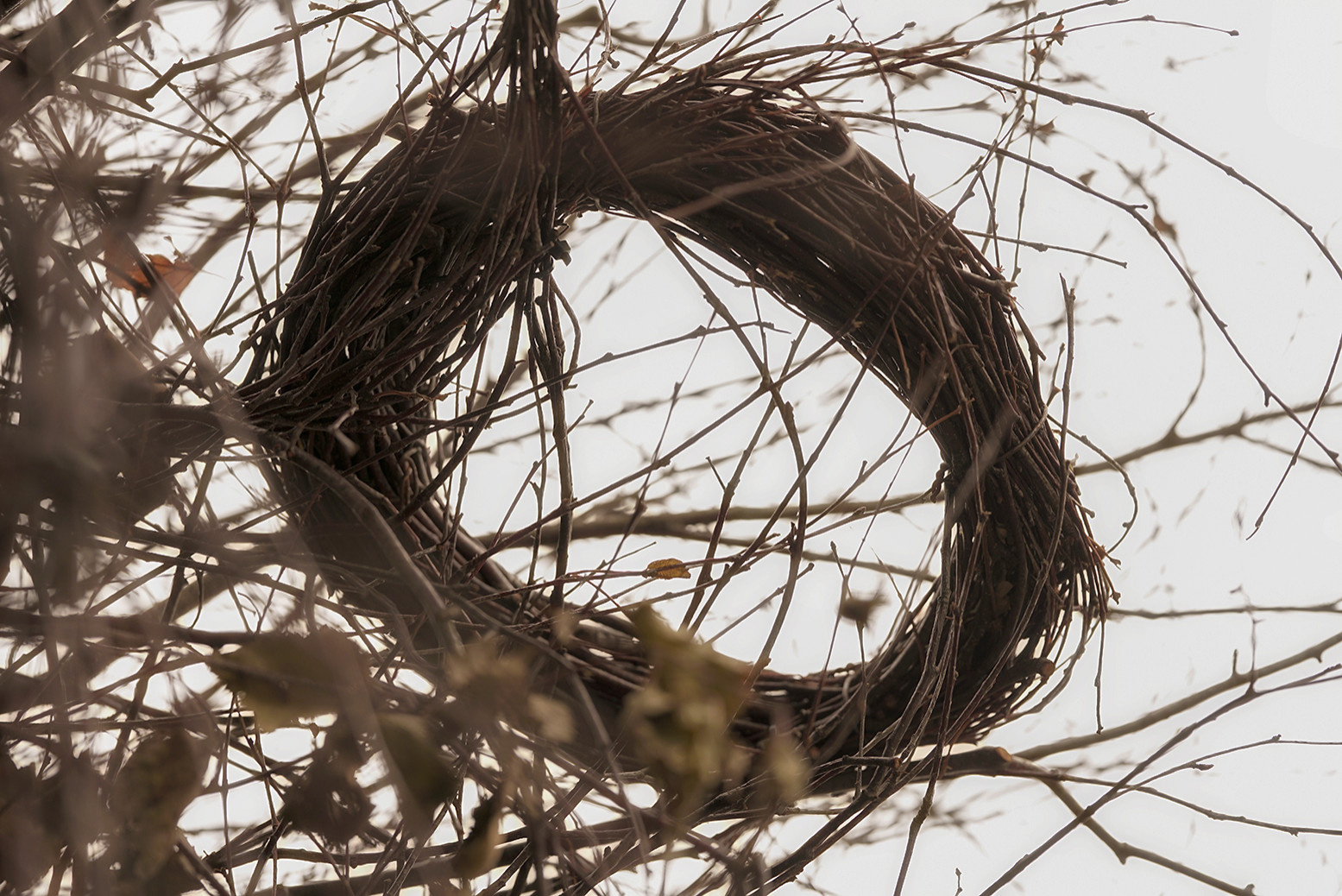 Фотосъемка Сада по сказке СиняяПтица на MFS 2019 Авторы М,Береснева М. ПРИНТЦ