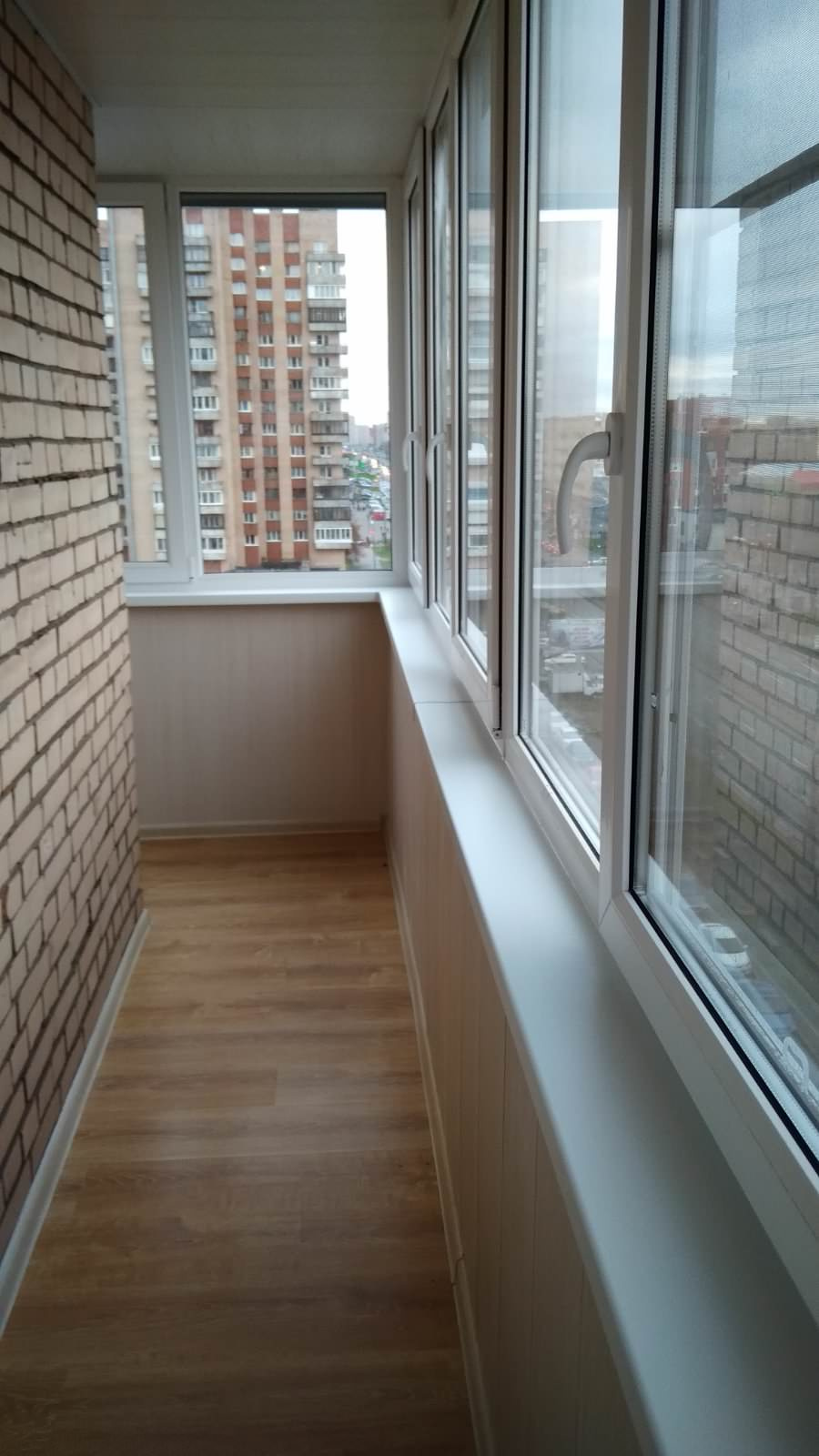 Софья Красикова