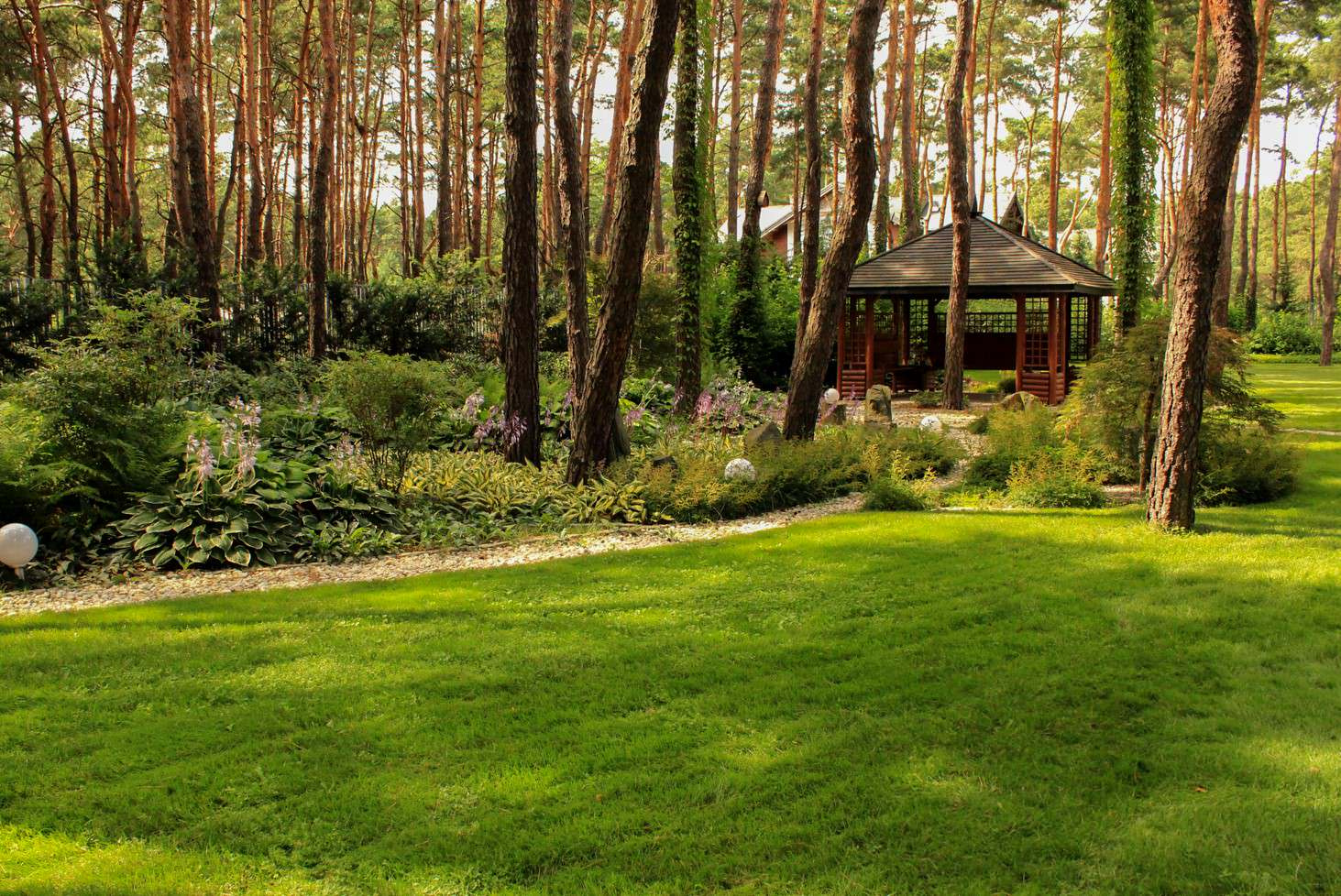 Тенистый сад в лестном массиве