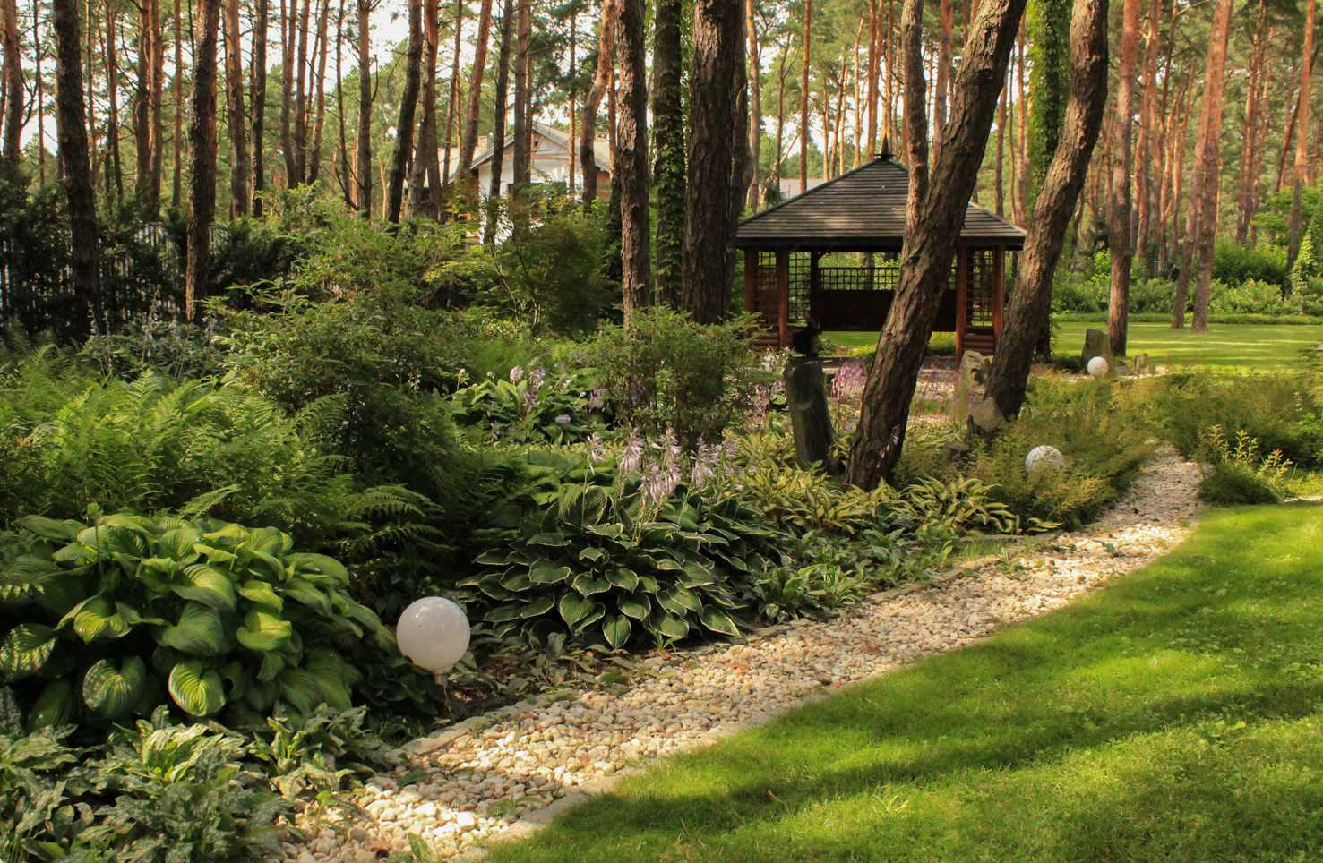 Тенистый сад в лестном массиве