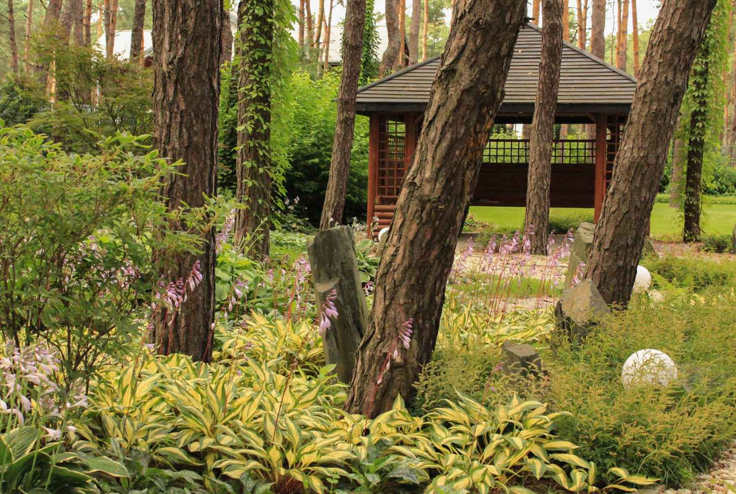 Тенистый сад в лестном массиве