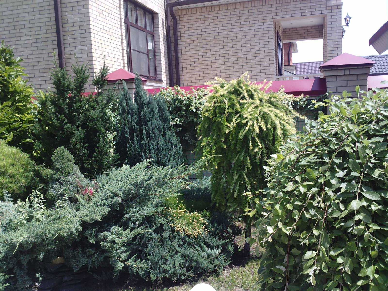 Татьяна Нестеренко