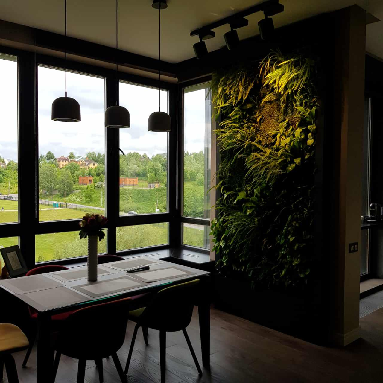 Фитостена в квартире