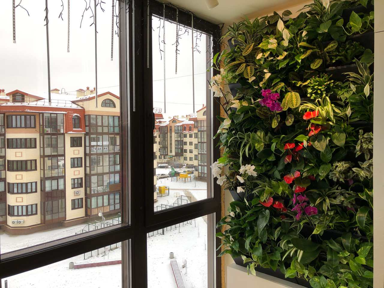 Фитостена в квартире (система полок)