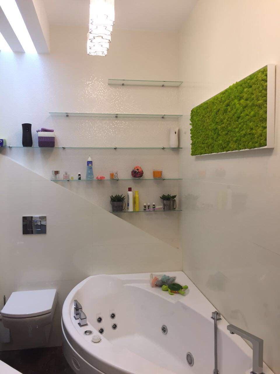 Обложка проекта: Мох в интерьере