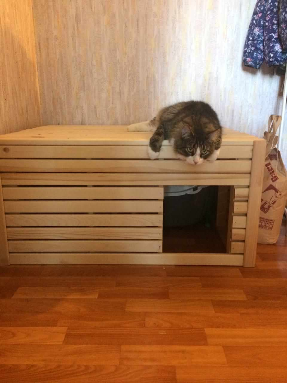 Мои работы