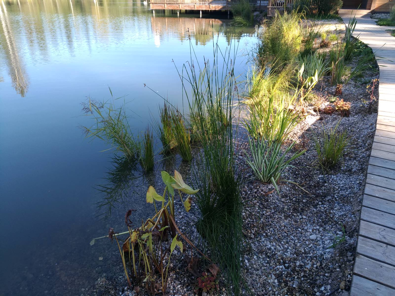Вода