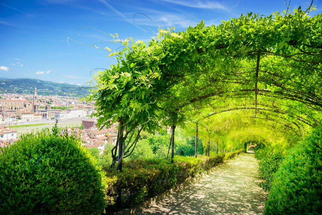 FLORENCE Природа создала совершенство