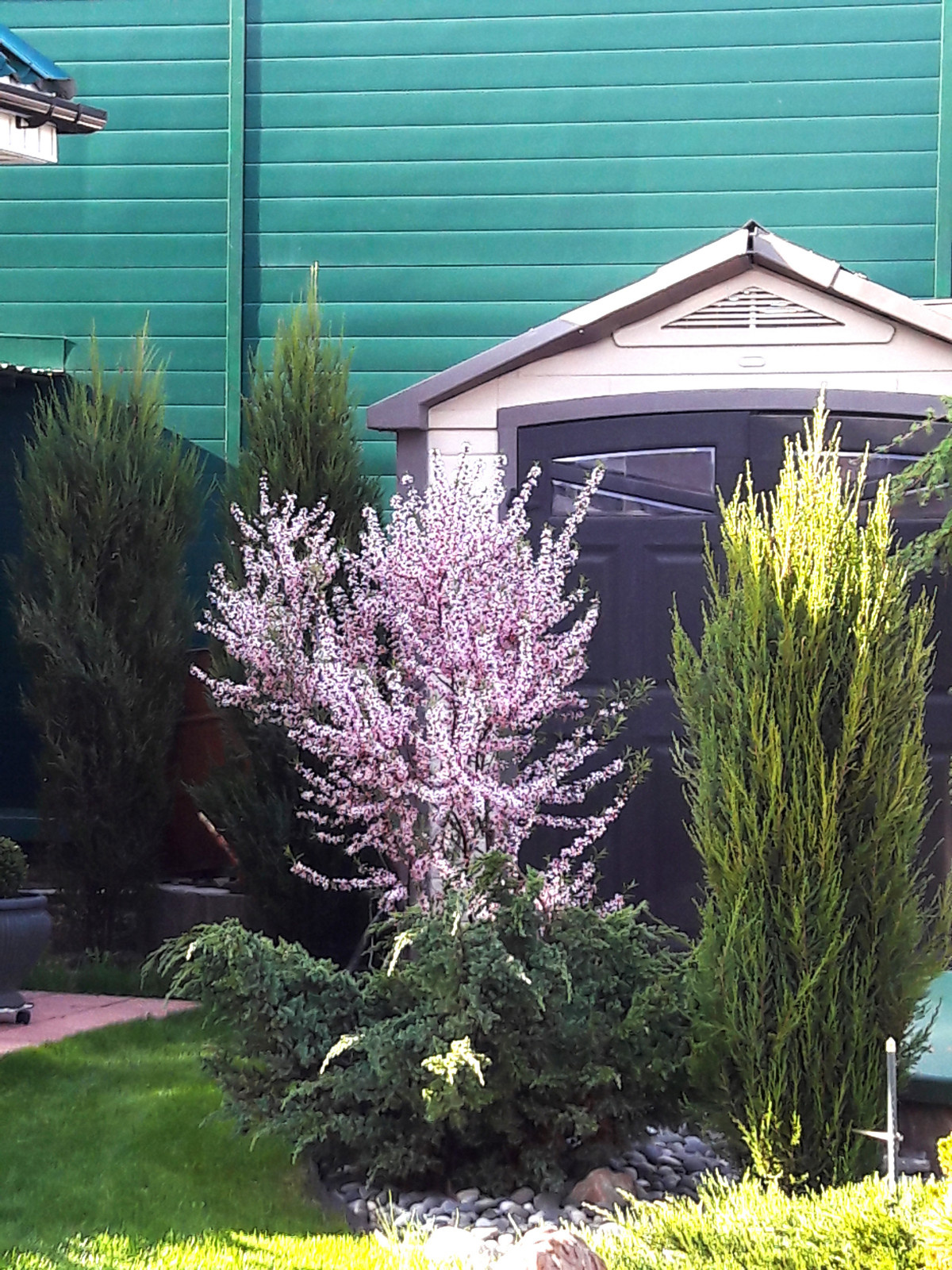 Французский садик в поселке Рыбаки Дмитровское шоссе