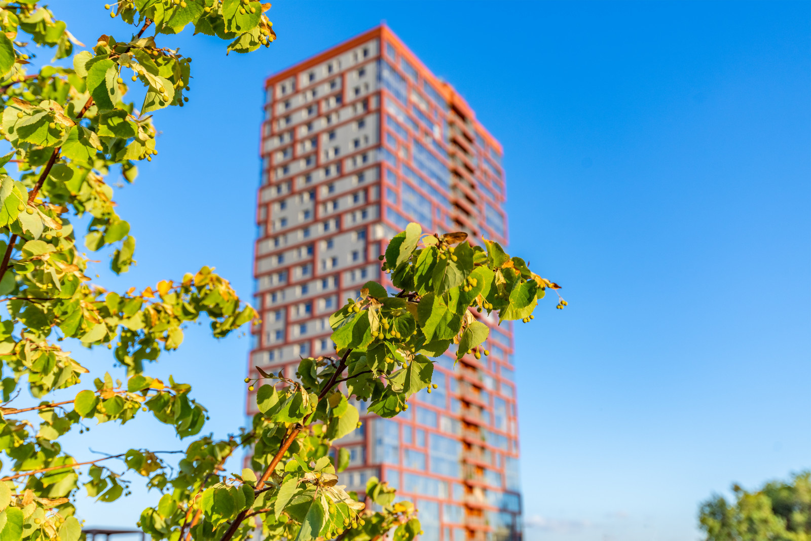 Обложка проекта: Виртуальный тур ЖК "Ясный берег"