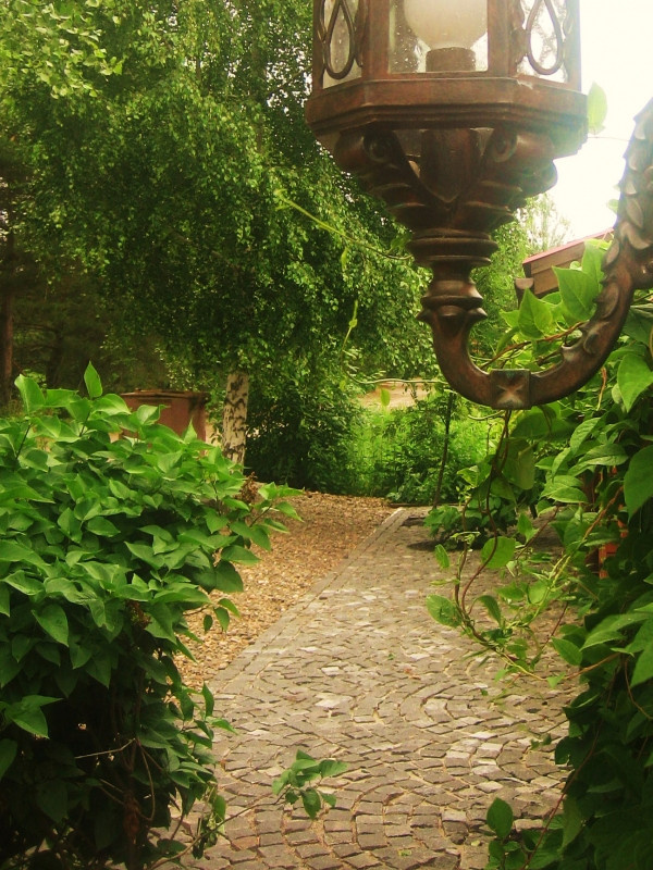 Фоновое изображение профиля Дарья Медведева-Китаева