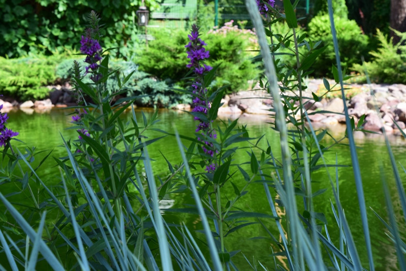 Городецкий район