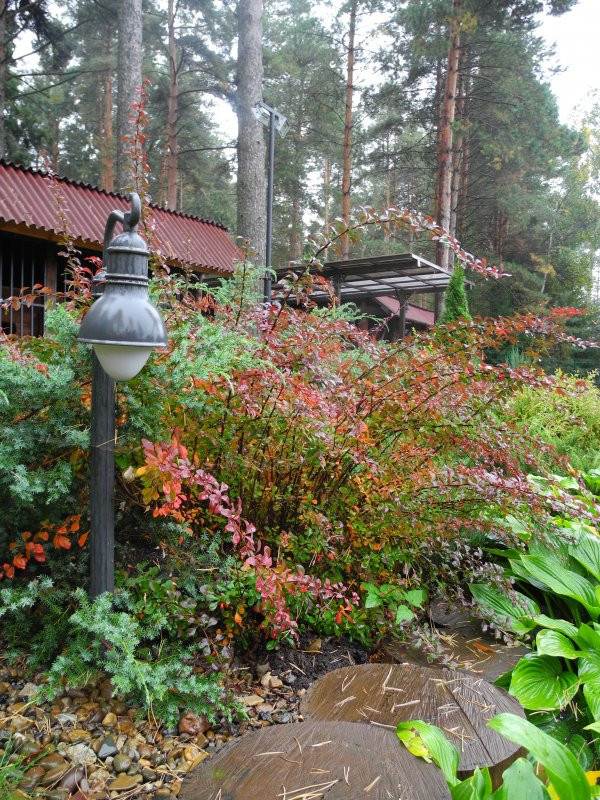 Городецкий район