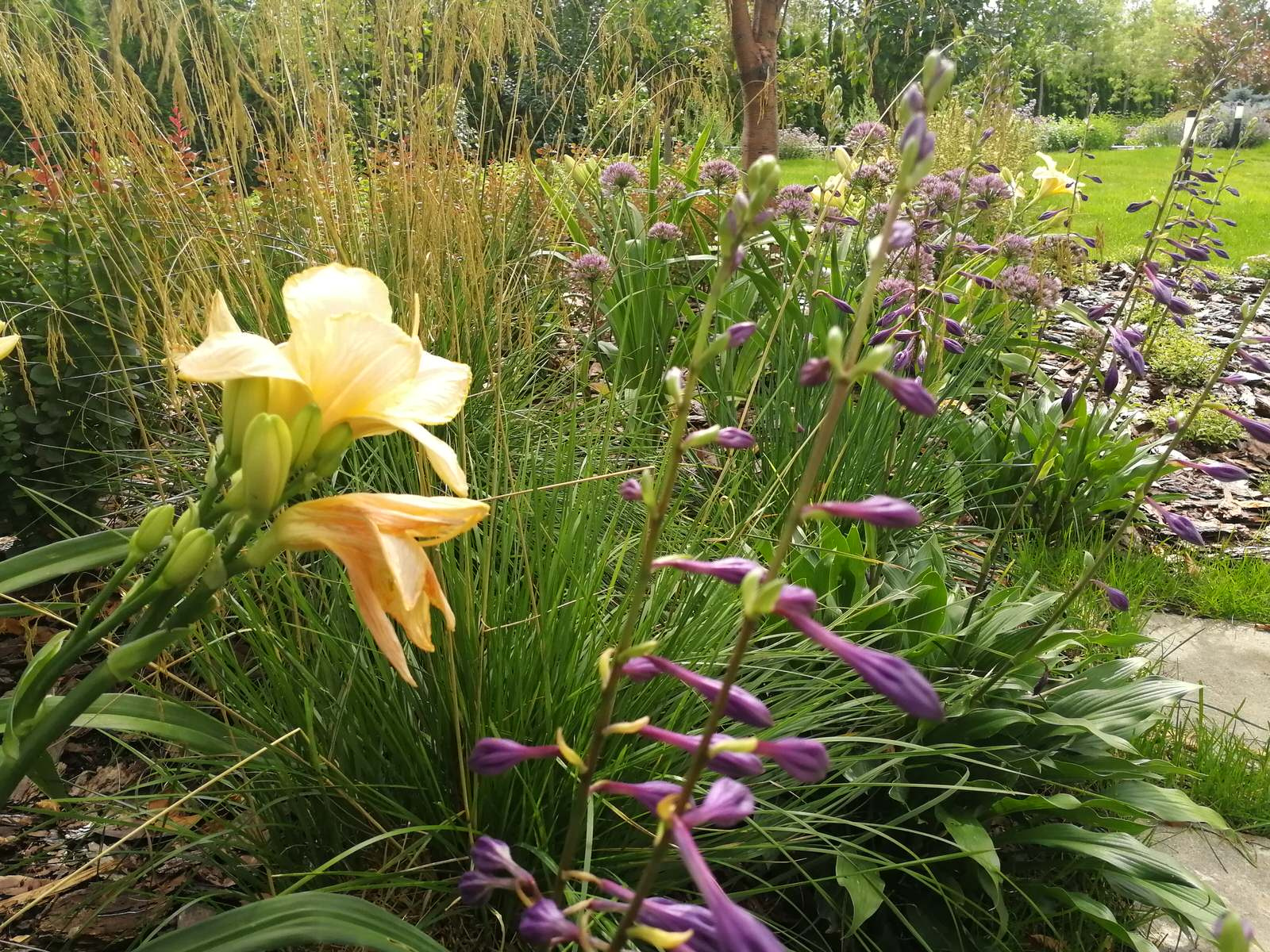 Благоустройство участка 20 соток в КП Пестово