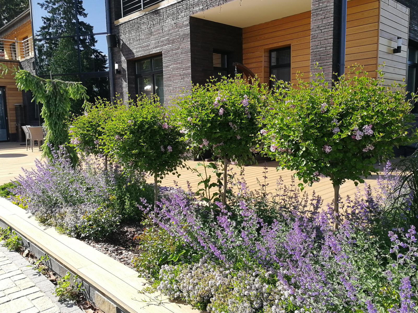 Благоустройство участка 20 соток в КП Пестово