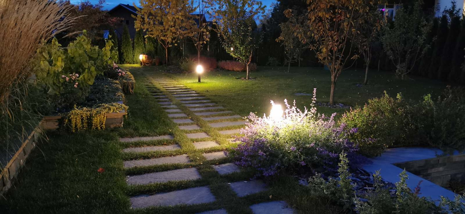 Благоустройство участка 20 соток в КП Пестово