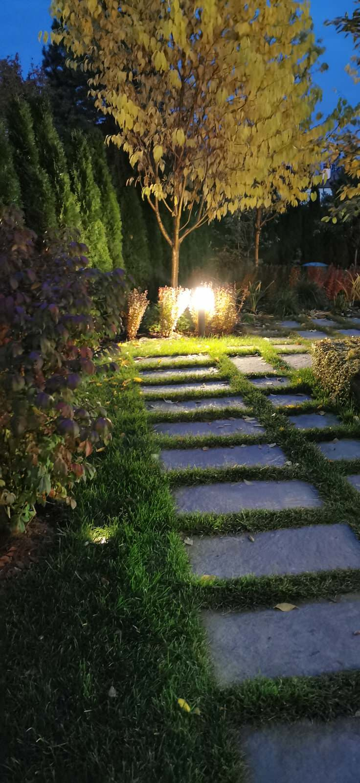 Благоустройство участка 20 соток в КП Пестово