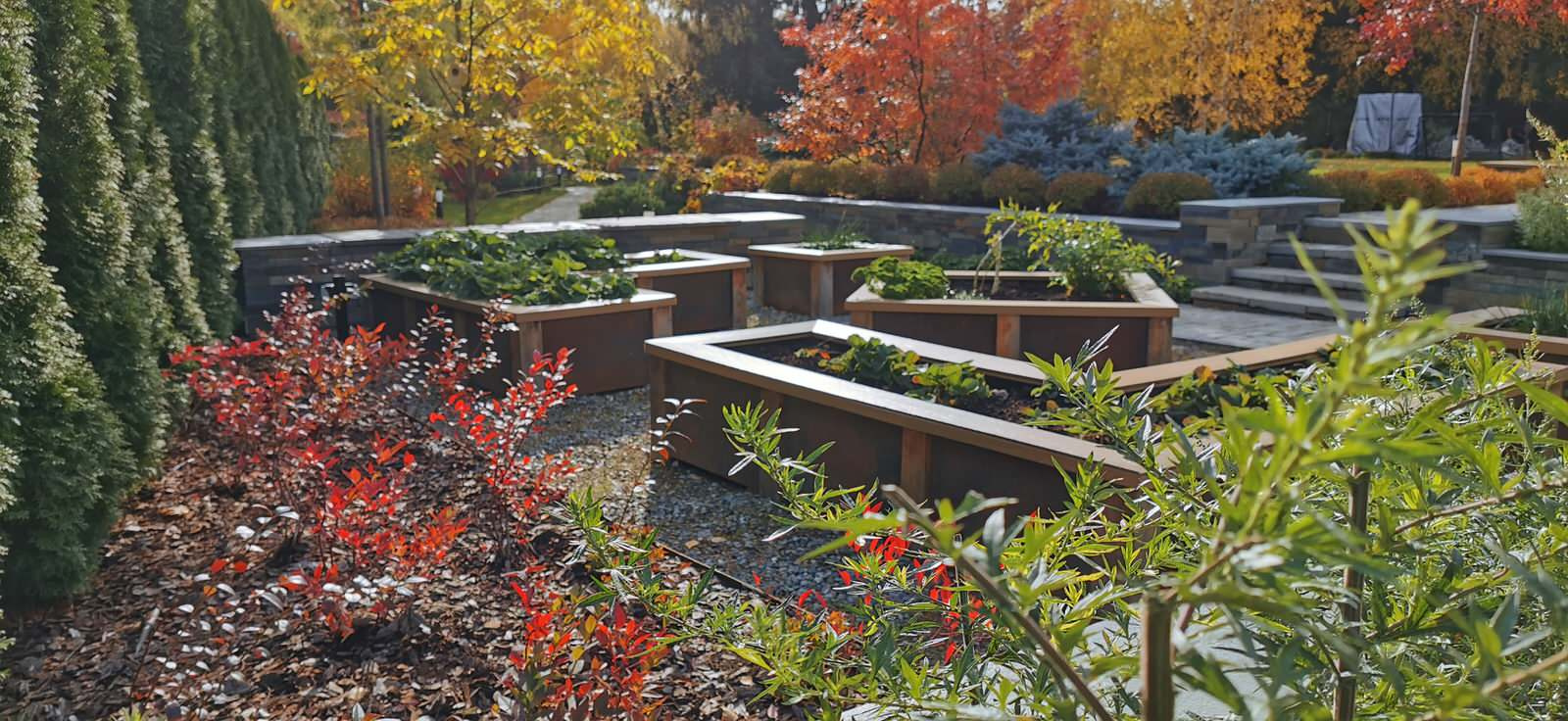 Благоустройство участка 20 соток в КП Пестово