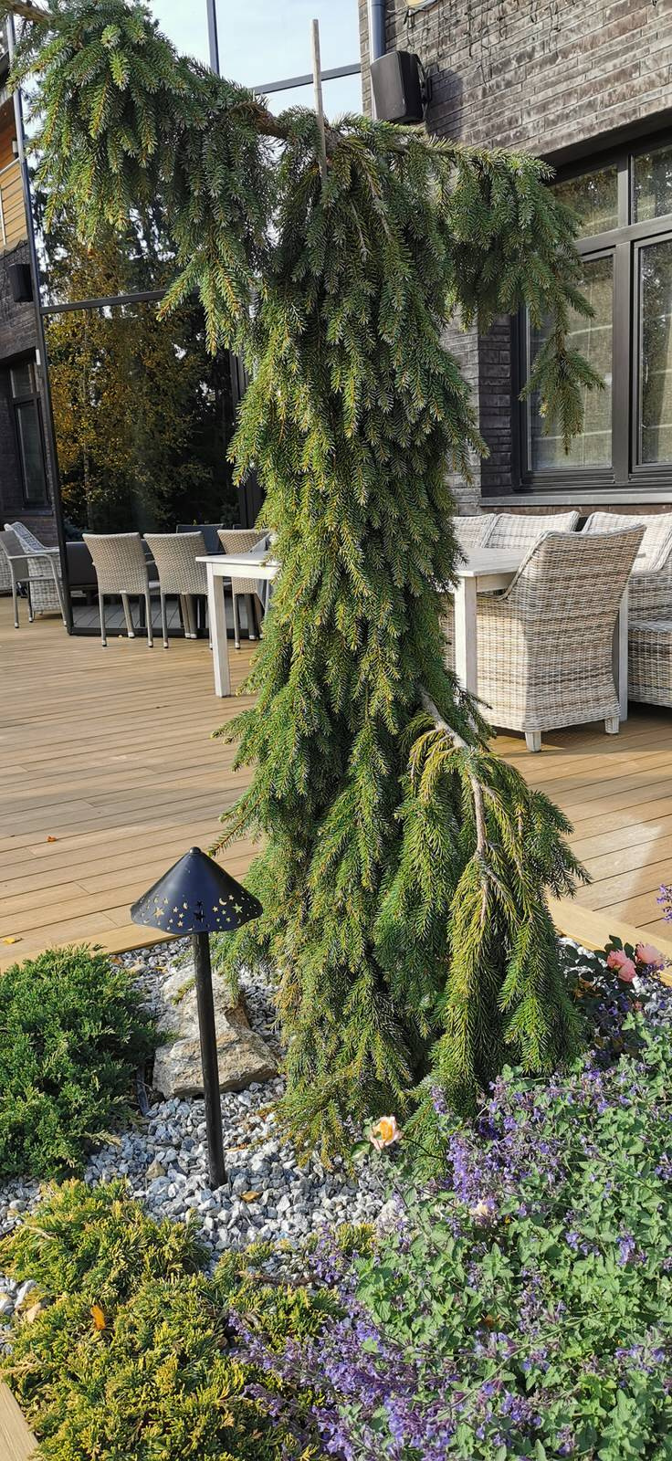 Благоустройство участка 20 соток в КП Пестово