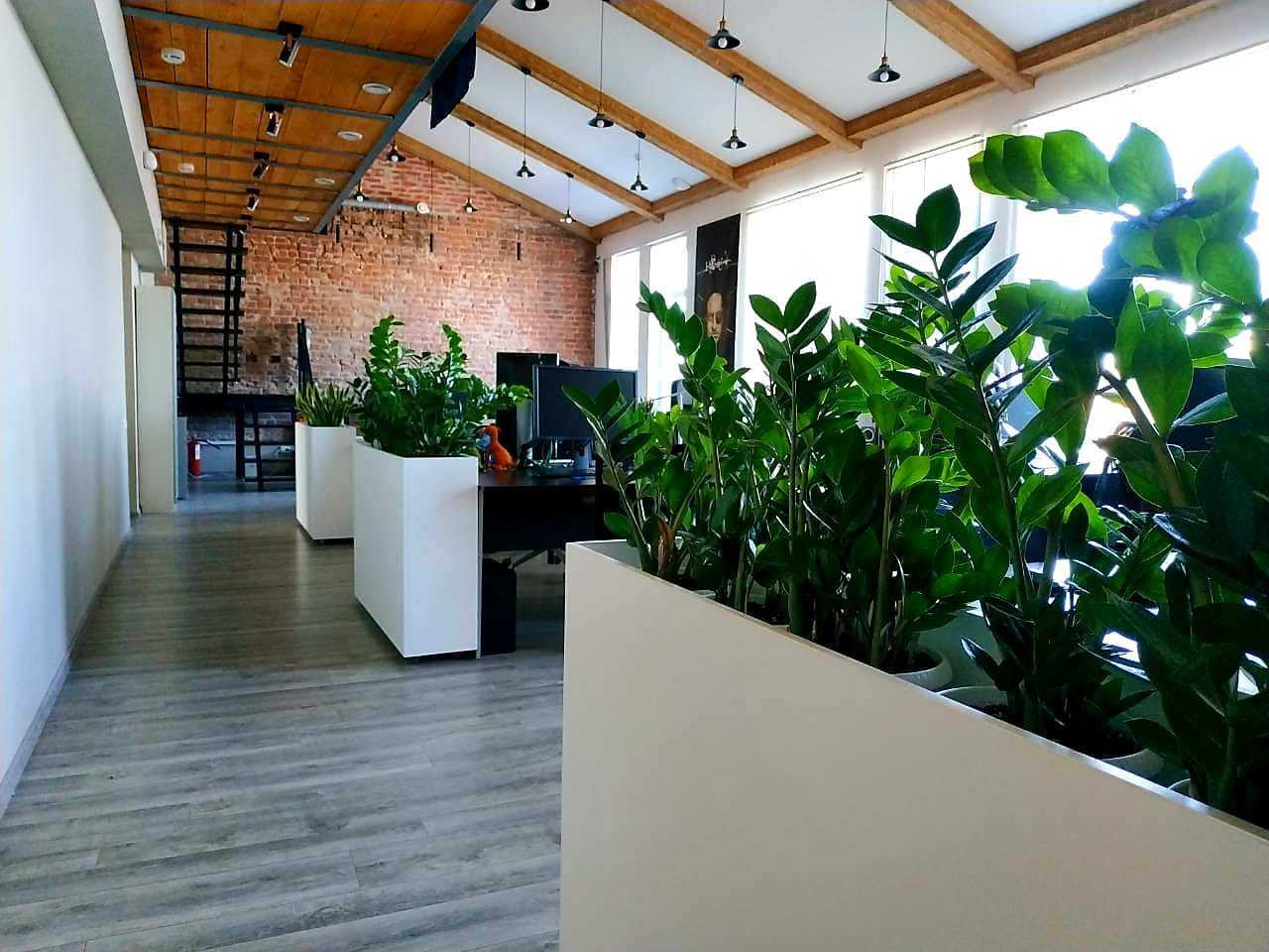 Обложка проекта: Озеленение офиса компании Кефир