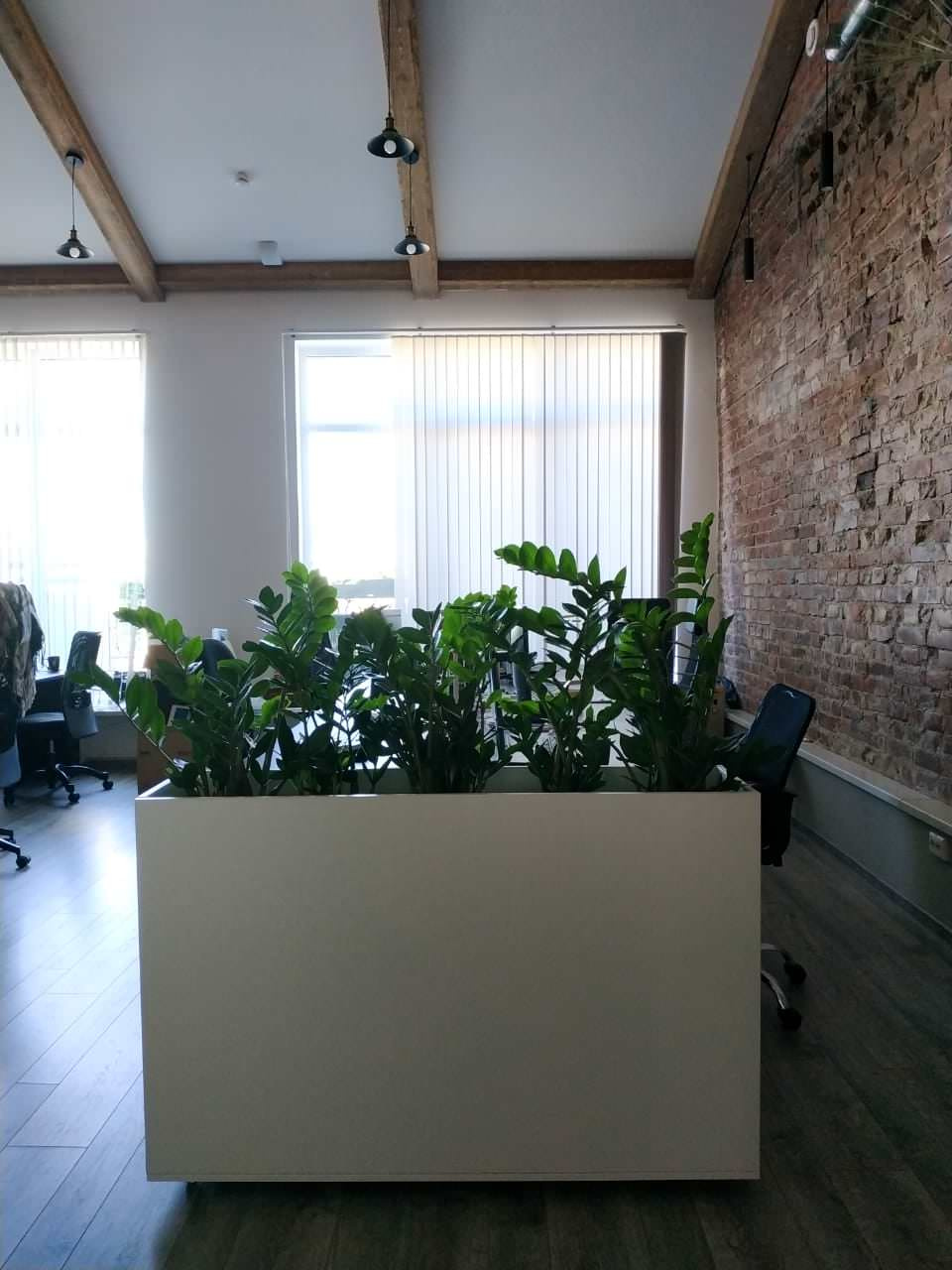 Озеленение офиса компании Кефир