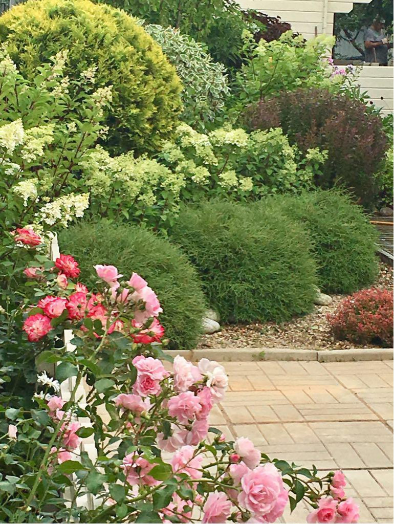 Проект "Сад  для Мамы"