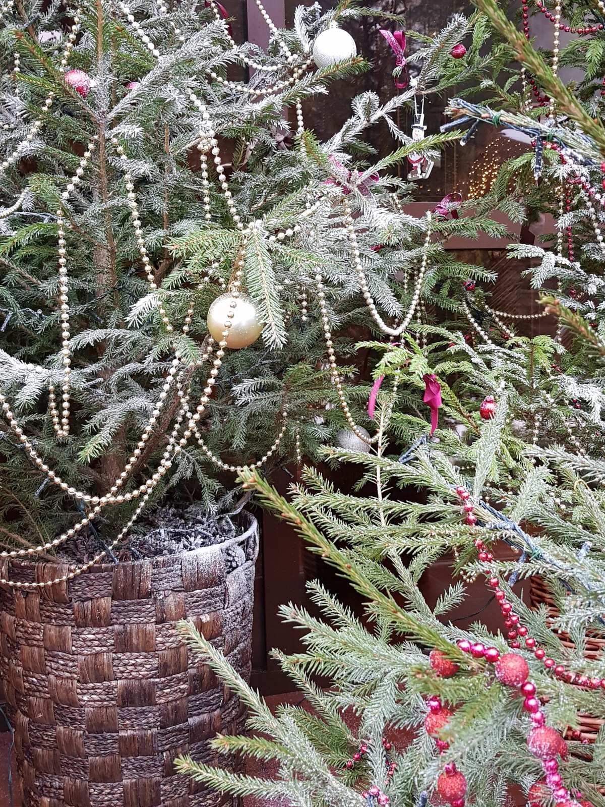 Обложка альбома: Новый год и Рождество.