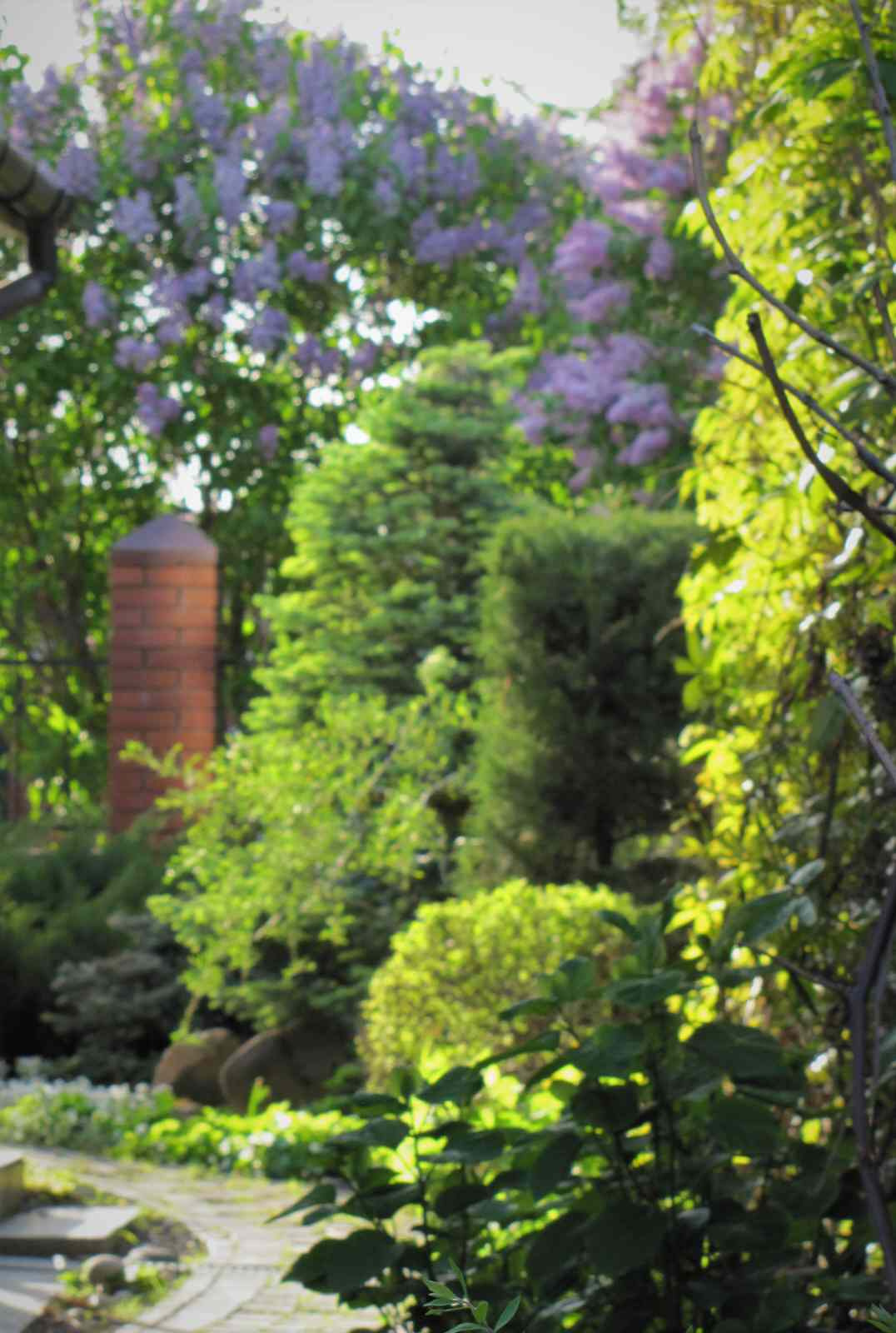 Преображение