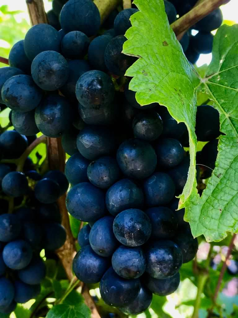 Преображение