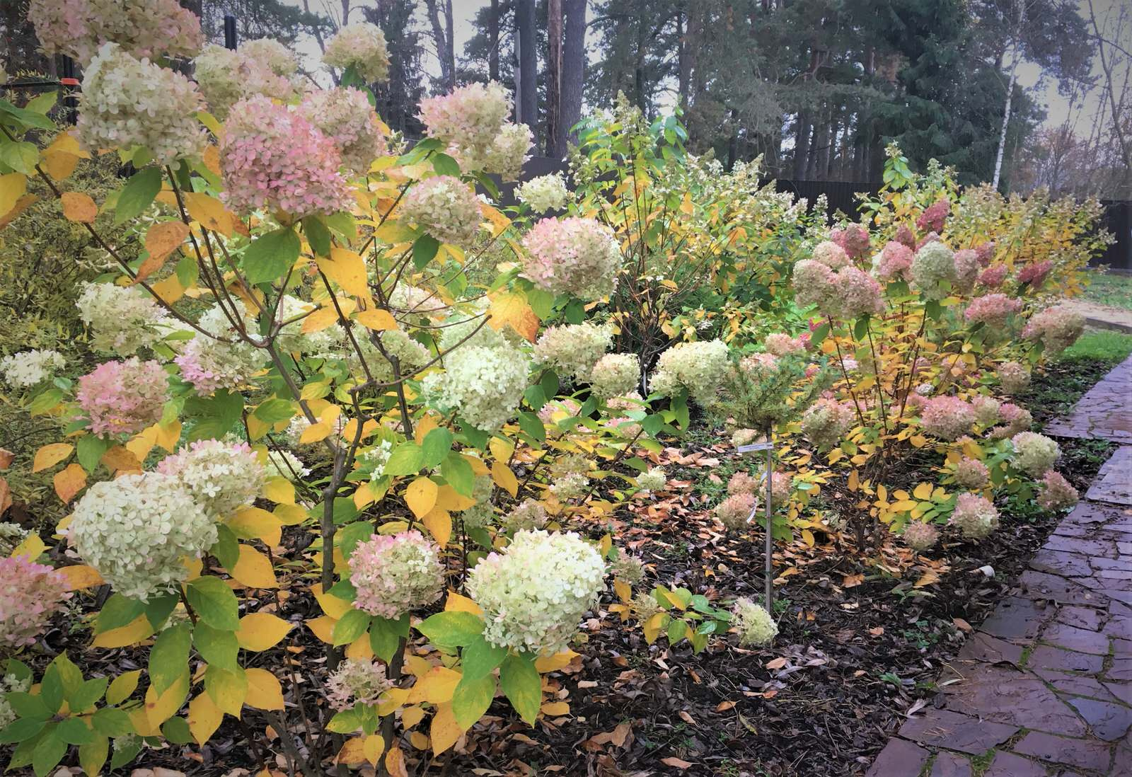 Васильевское