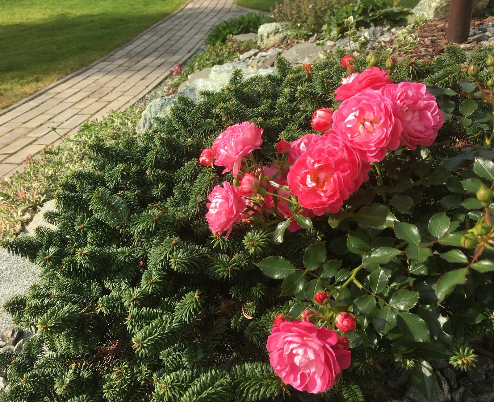 Содружество