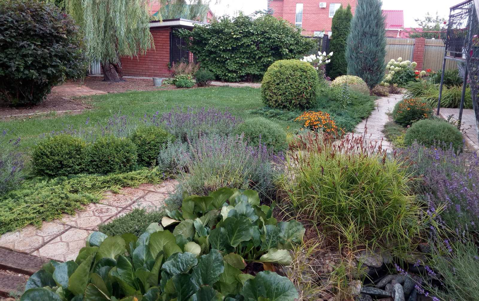 Фоновое изображение профиля Жанна Степанова