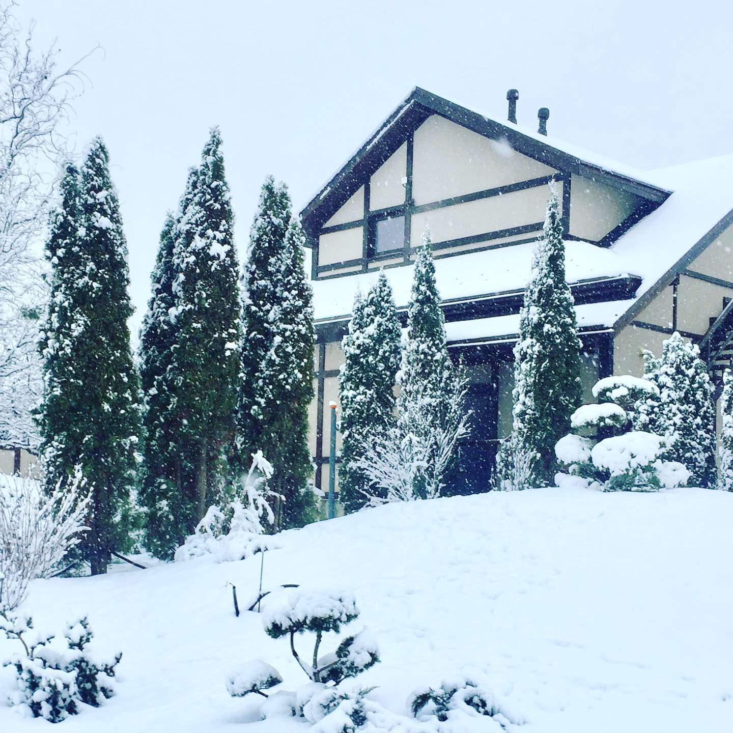 Территория удовольствий.Частный сад.