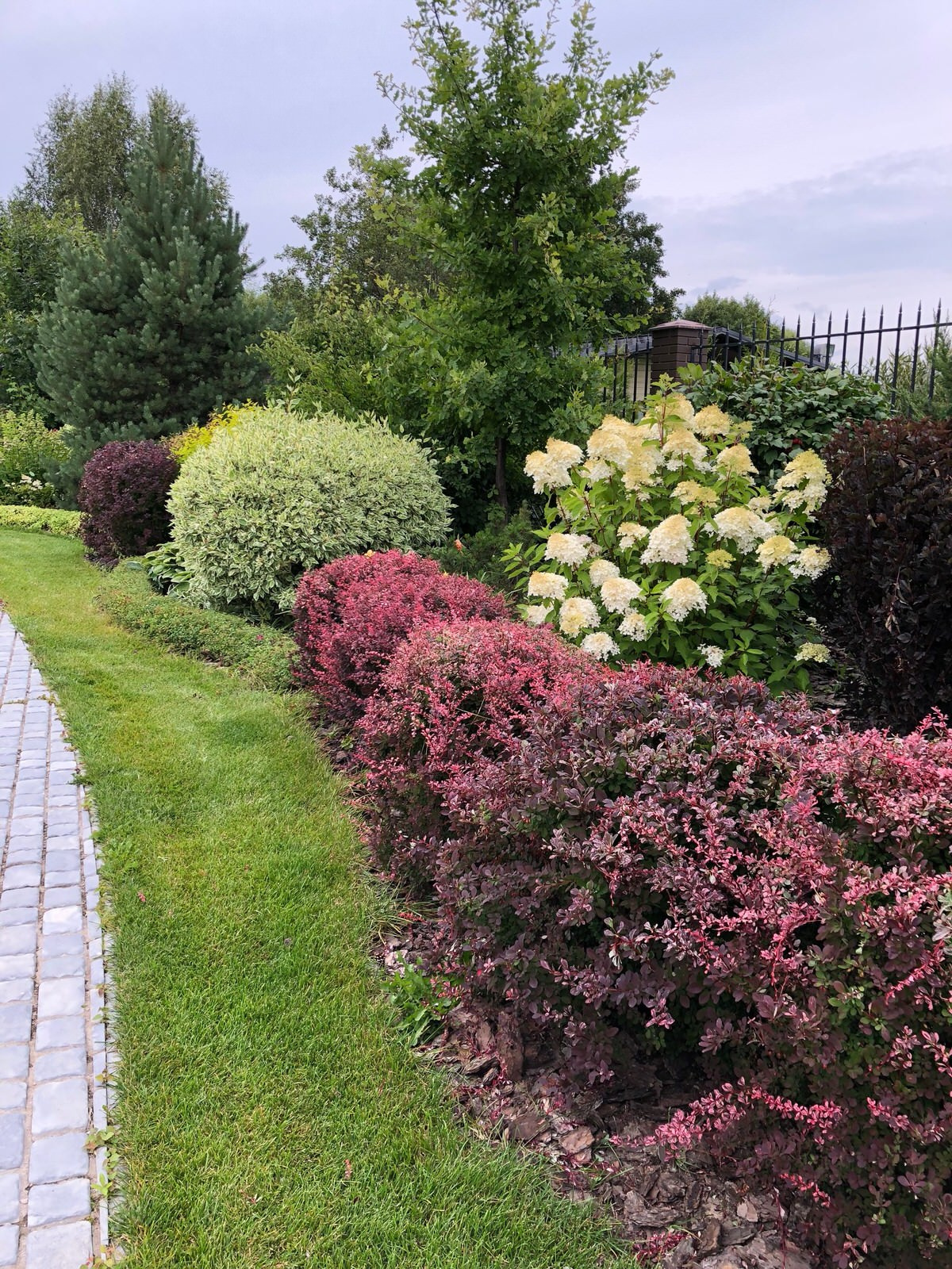 В закладки: Топ-10 растений для формованных изгородей