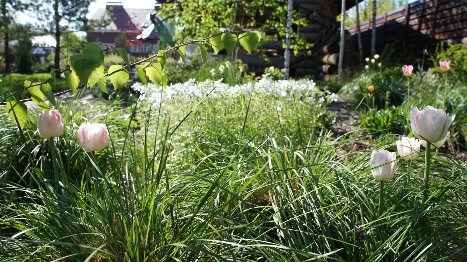 участок в Прохорово